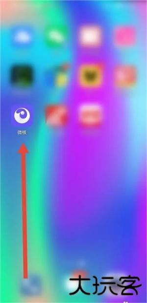 微核app