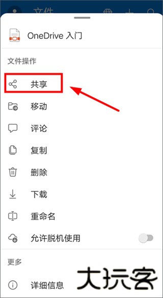 SkyDrive
