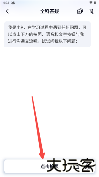 有道小P