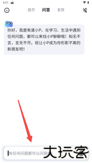 有道小P