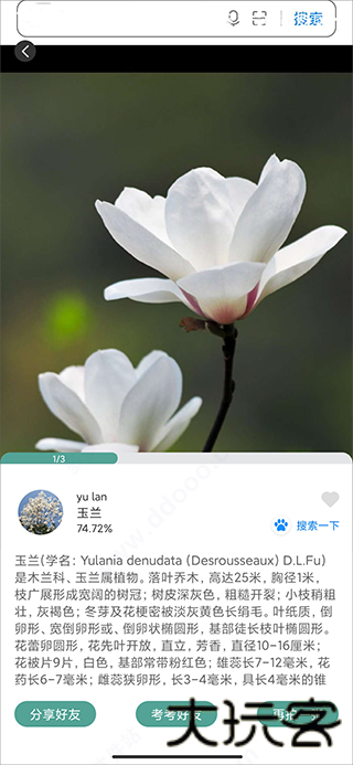 识花君