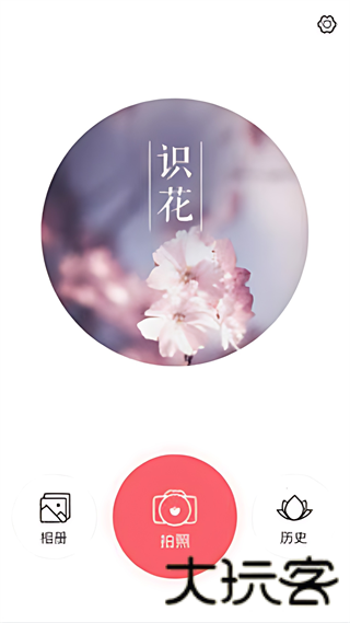 识花君