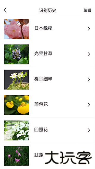 识花君