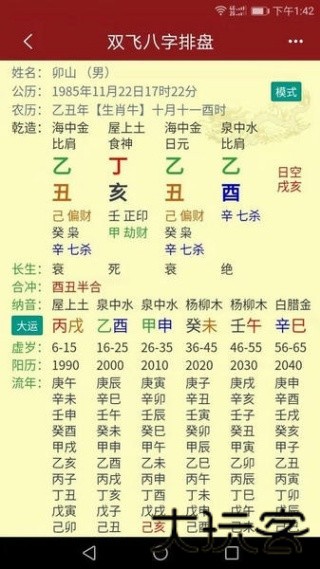 双飞八字排盘