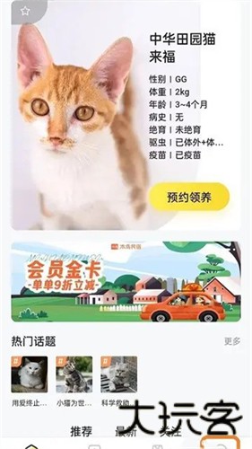 附近有喵