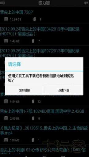 p2p种子搜索器