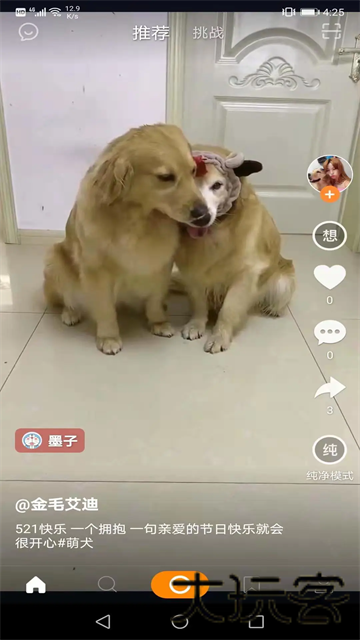 like短视频