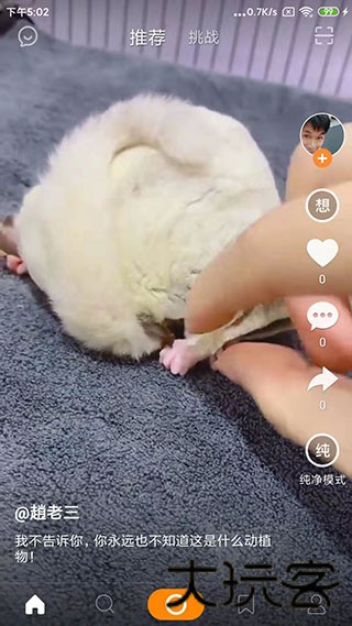 like短视频