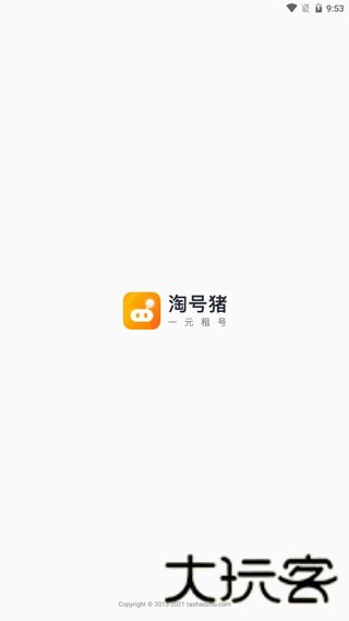 淘号猪