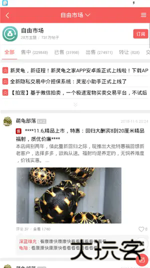 灵龟之家