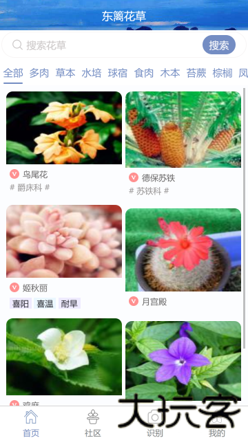 花草之家