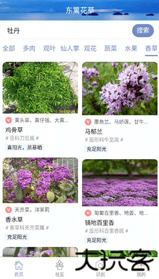 花草之家