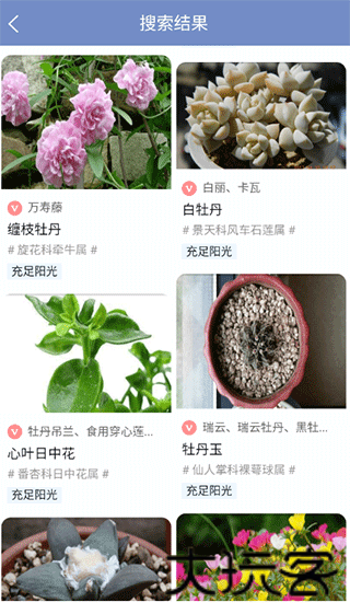 花草之家