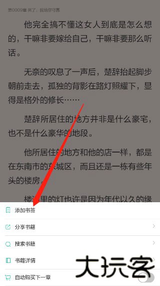 大美书网