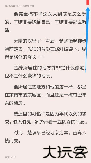 大美书网