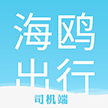 海鸥出行