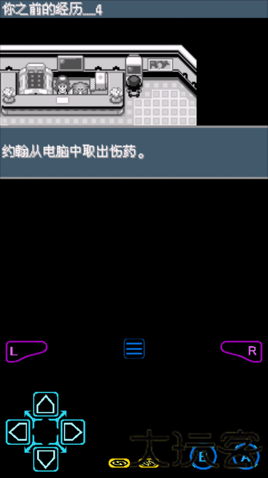 口袋妖怪xy模拟器