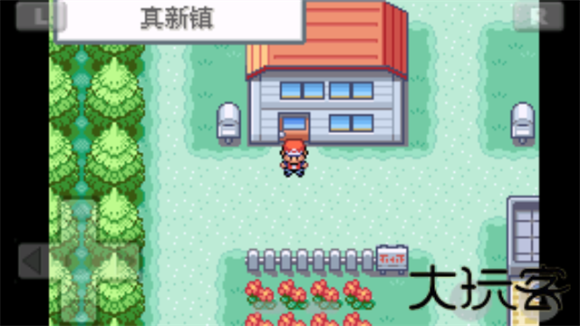口袋怪兽火红版