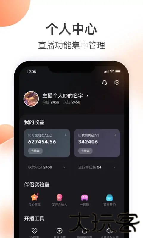 快手直播伴侣