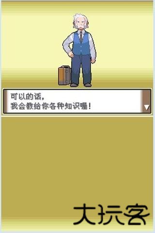 口袋妖怪白金汉化版
