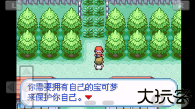 口袋怪兽火红版