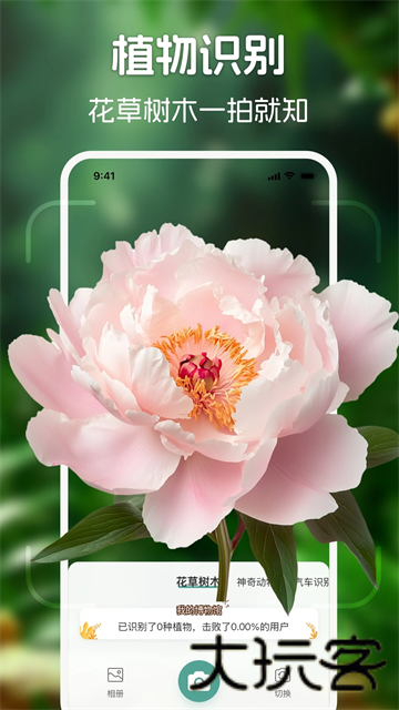 识花君