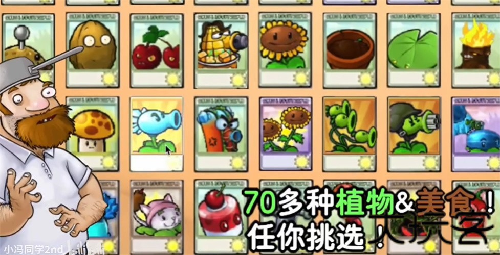 植物大战僵尸时空之乱